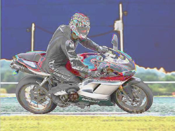 duc