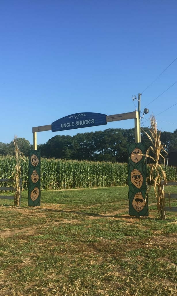 Fall in Dawsonville Webp.net resizeimage 28 - Fall in Dawsonville